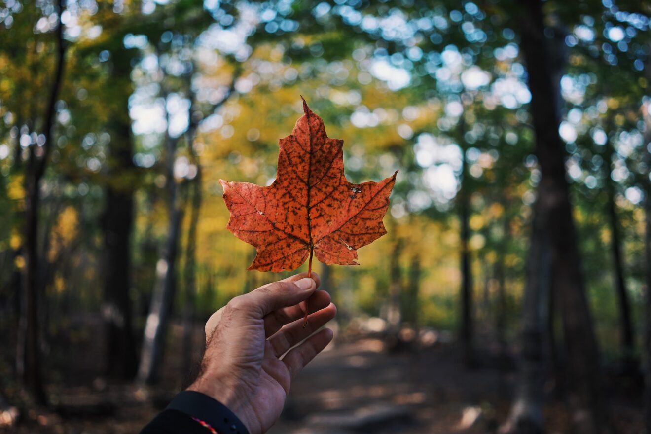 le 10 attrazioni più popolari in canada