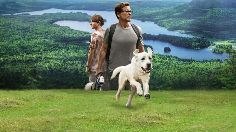 Le location di Dog Gone