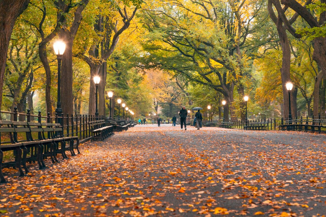cosa vedere a new york gratis consigli