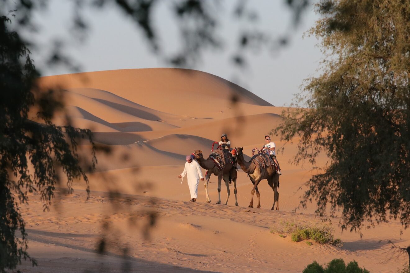 cosa vedere ad abu dhabi con bambini