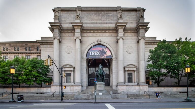cosa vedere al museo di storia naturale a new york
