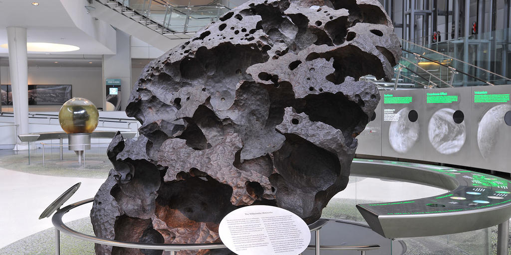 cosa vedere al museo di storia naturale a new york attrazioni