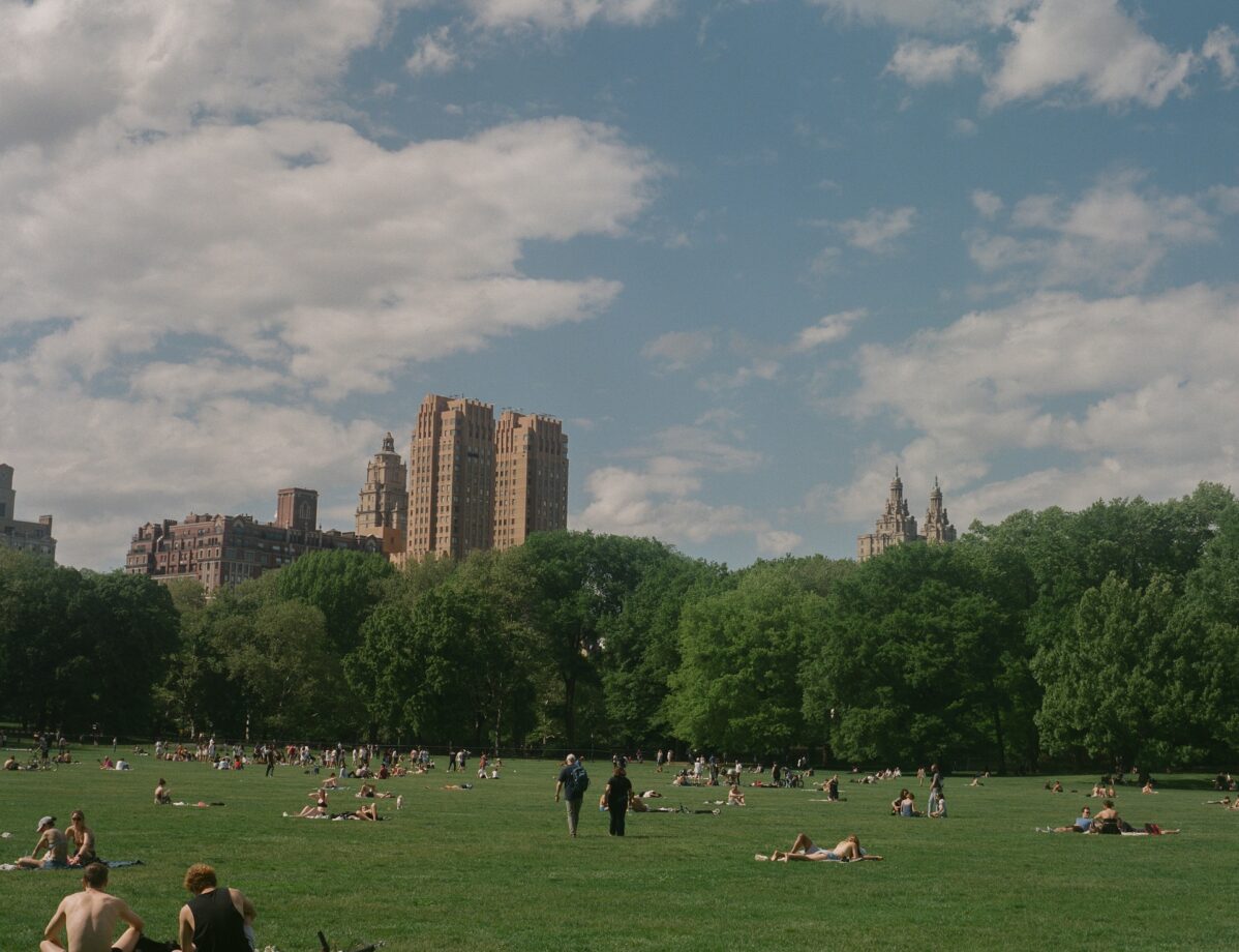 cosa vedere vicino a central park idee