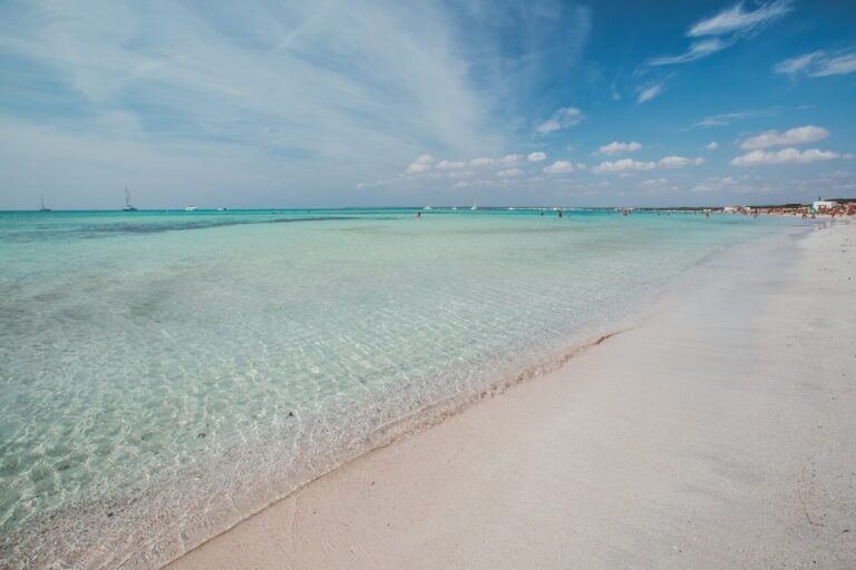migliori spiagge di Palma di Maiorca