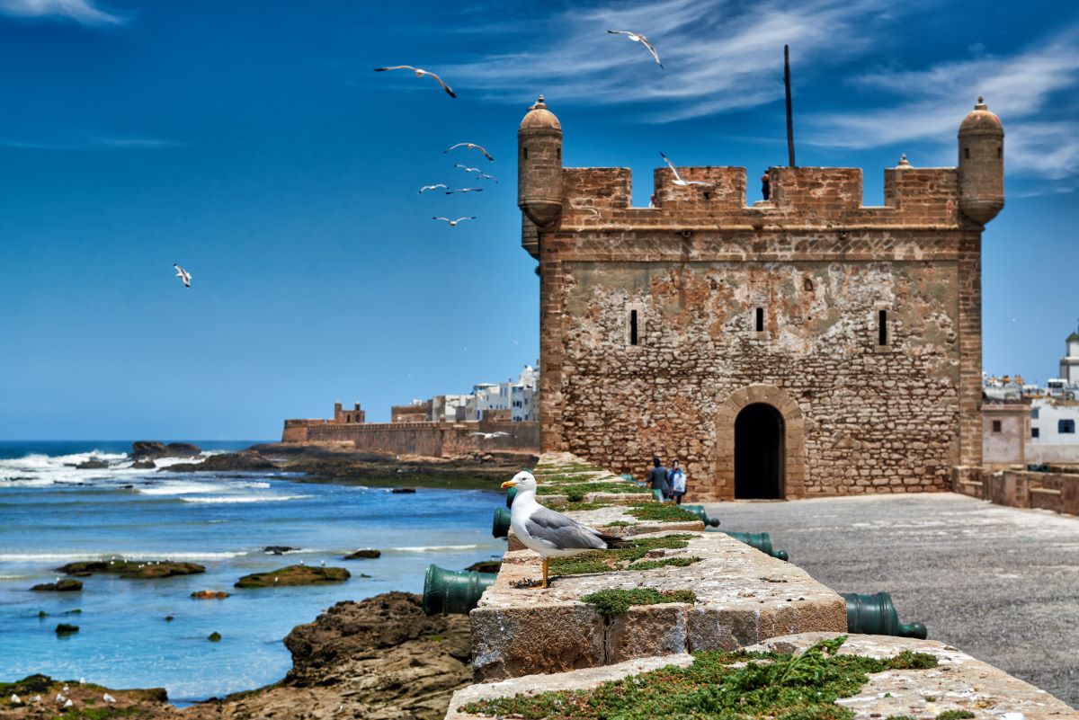 quali sono le spiagge più belle del marocco