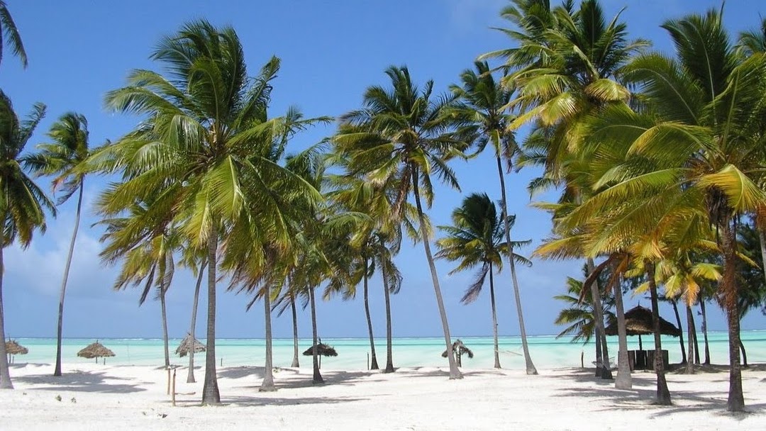 spiagge migliori di zanzibar