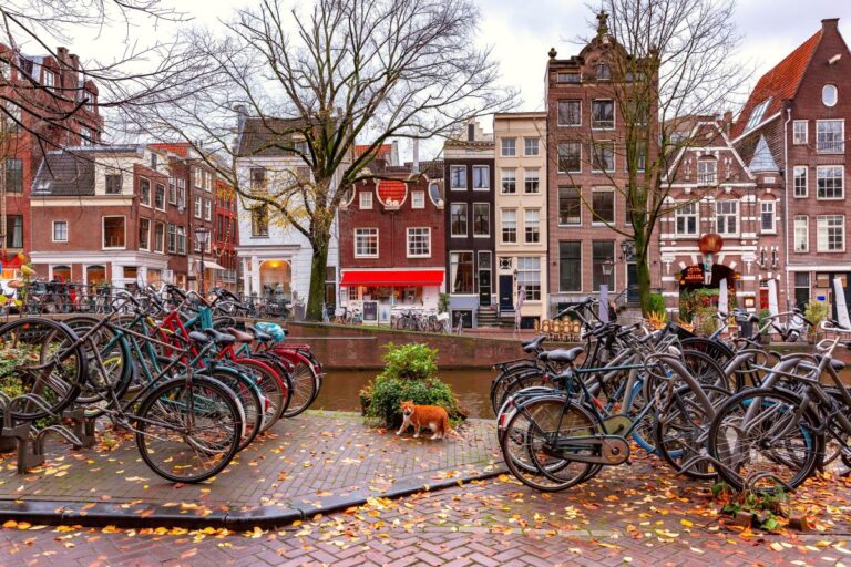 cosa fare ad amsterdam con la pioggia
