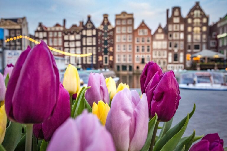 cosa vedere ad amsterdam in 4 giorni