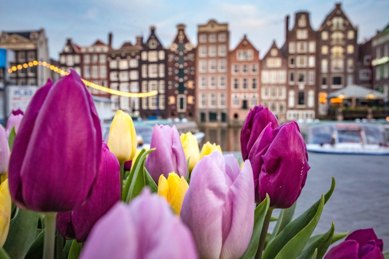 cosa vedere ad amsterdam in 4 giorni