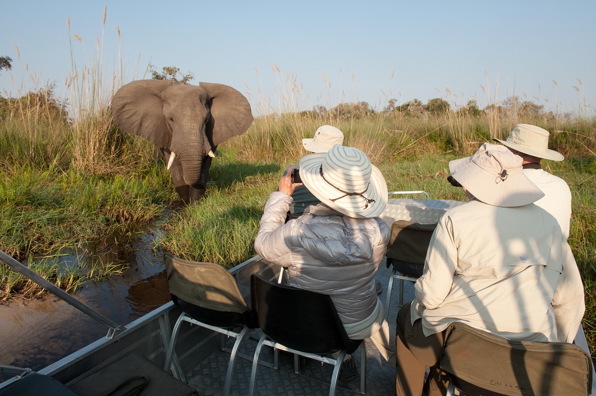 I luoghi migliori per i safari in Africa