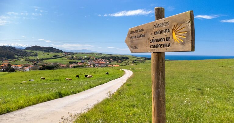 00cammino di santiago guida fb 1