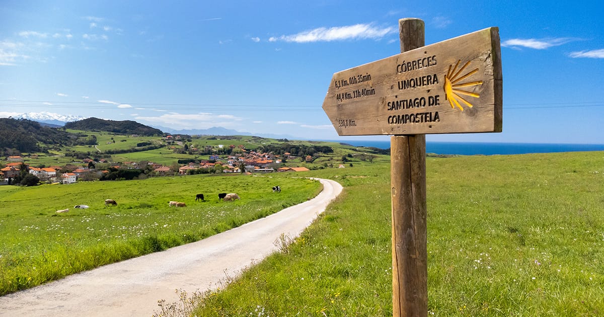 00cammino di santiago guida fb 1