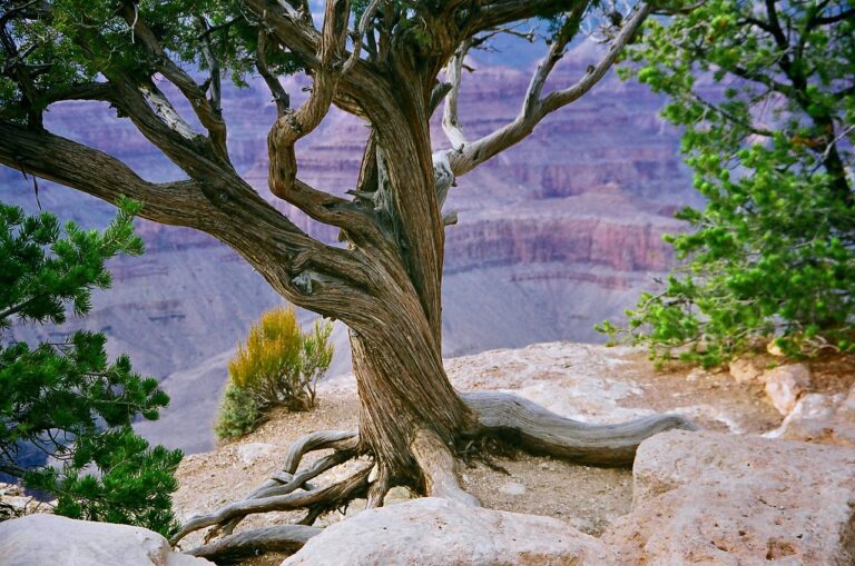 grand canyon 5946657 1280