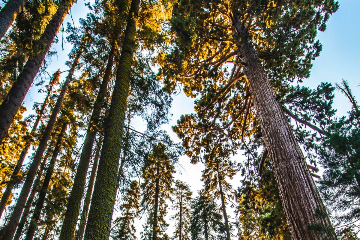 Parchi naturali in Europa, top 10