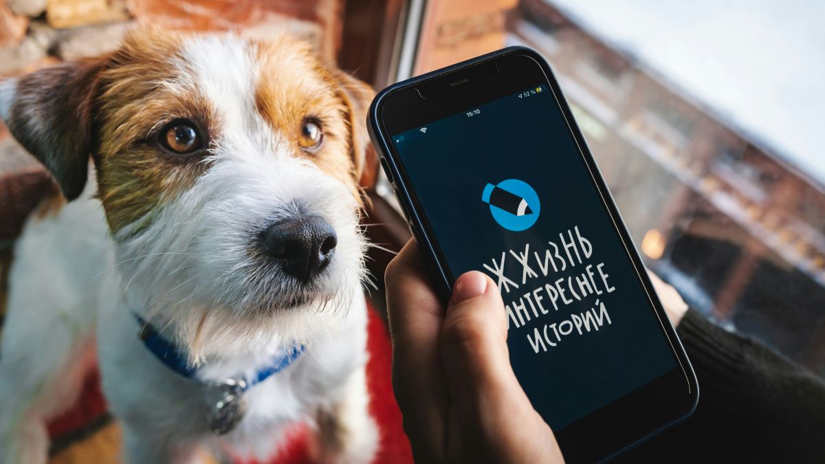 Come e dove farlo? Parliamo del passaporto per cane e gatto