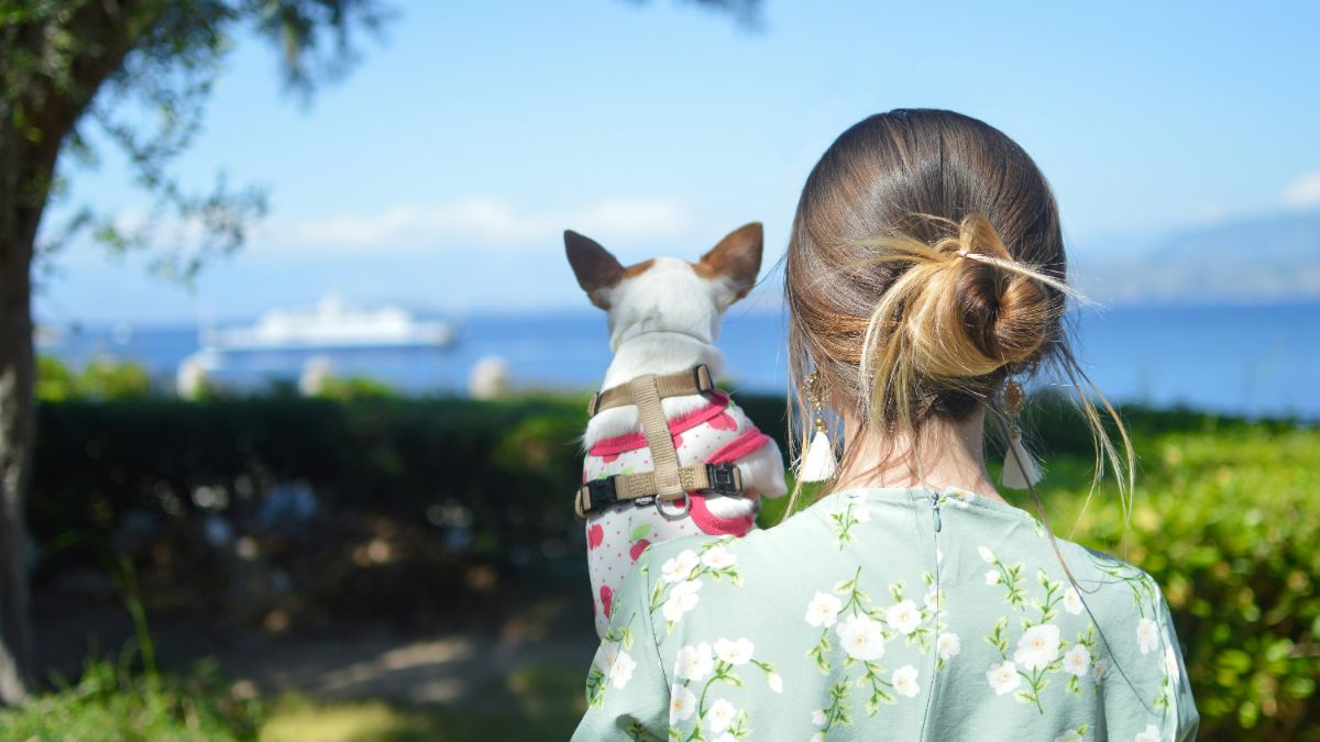 Viaggiare con un cane in nave, ecco come e cosa fare