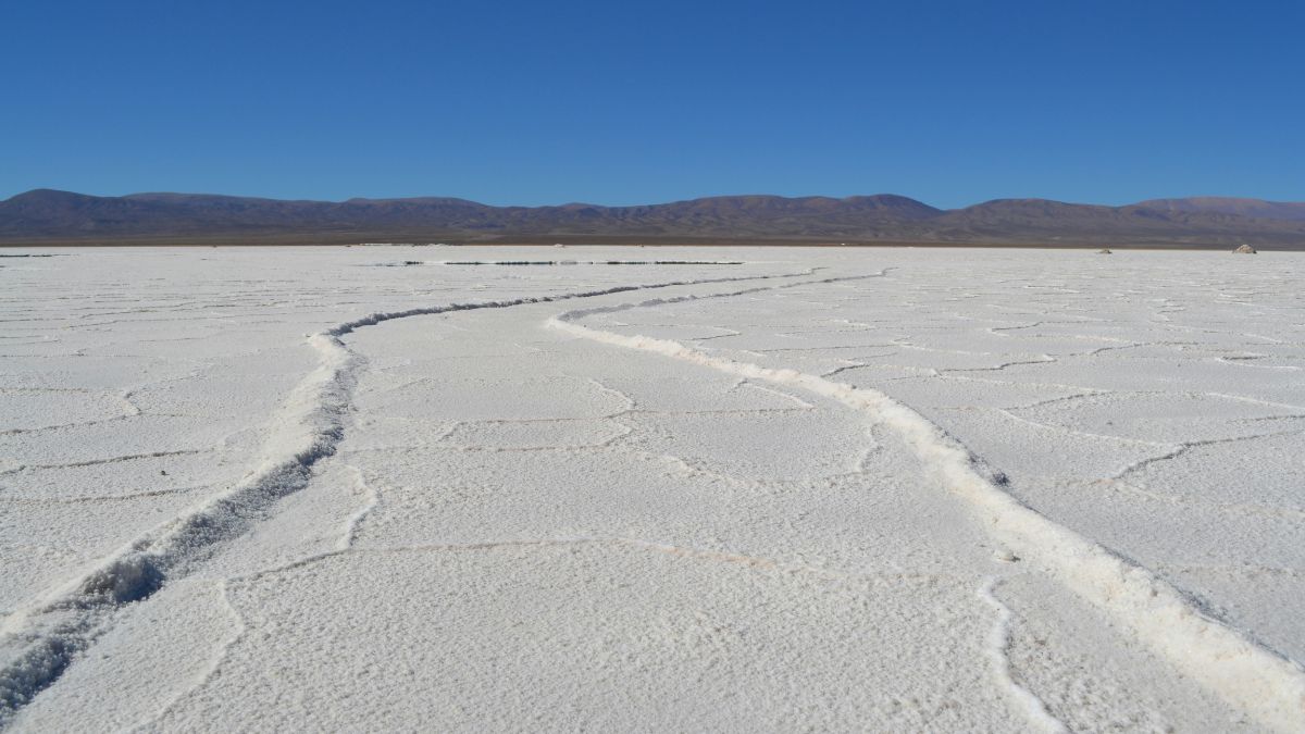 Saline Conti Vecchi, la scoperta