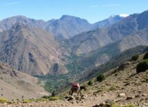 Cammino di Stevenson in Francia, trekking in asino