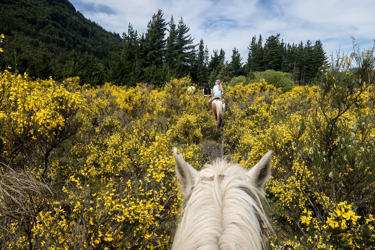 In sella alla natura: i luoghi più suggestivi per un’avventura all’aria aperta in Italia