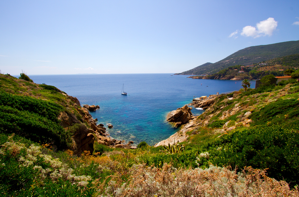 10 31616 isola del giglio