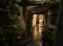 Berlino curiosa: miti cittadini e micro-itinerari tra cortili, tunnel e parchi