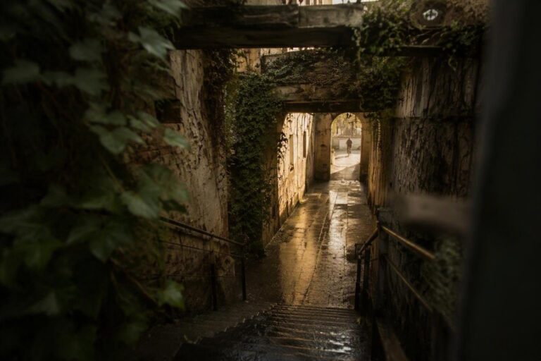 Berlino curiosa: miti cittadini e micro-itinerari tra cortili, tunnel e parchi