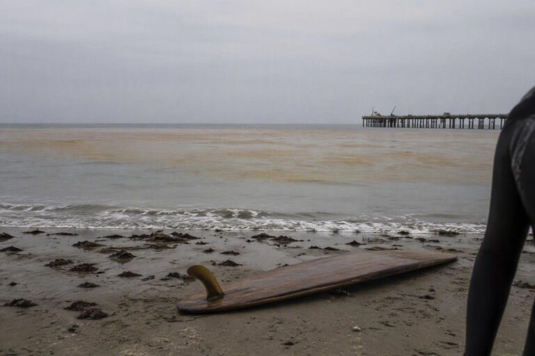 Come le ondate di calore marine minacciano la salute umana e l'ambiente