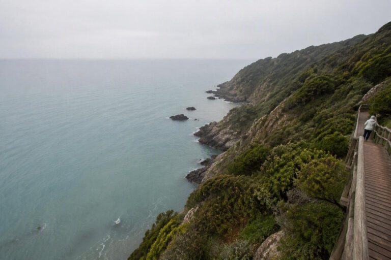 Scopri le spiagge incontaminate delle Bandite di Scarlino in Toscana