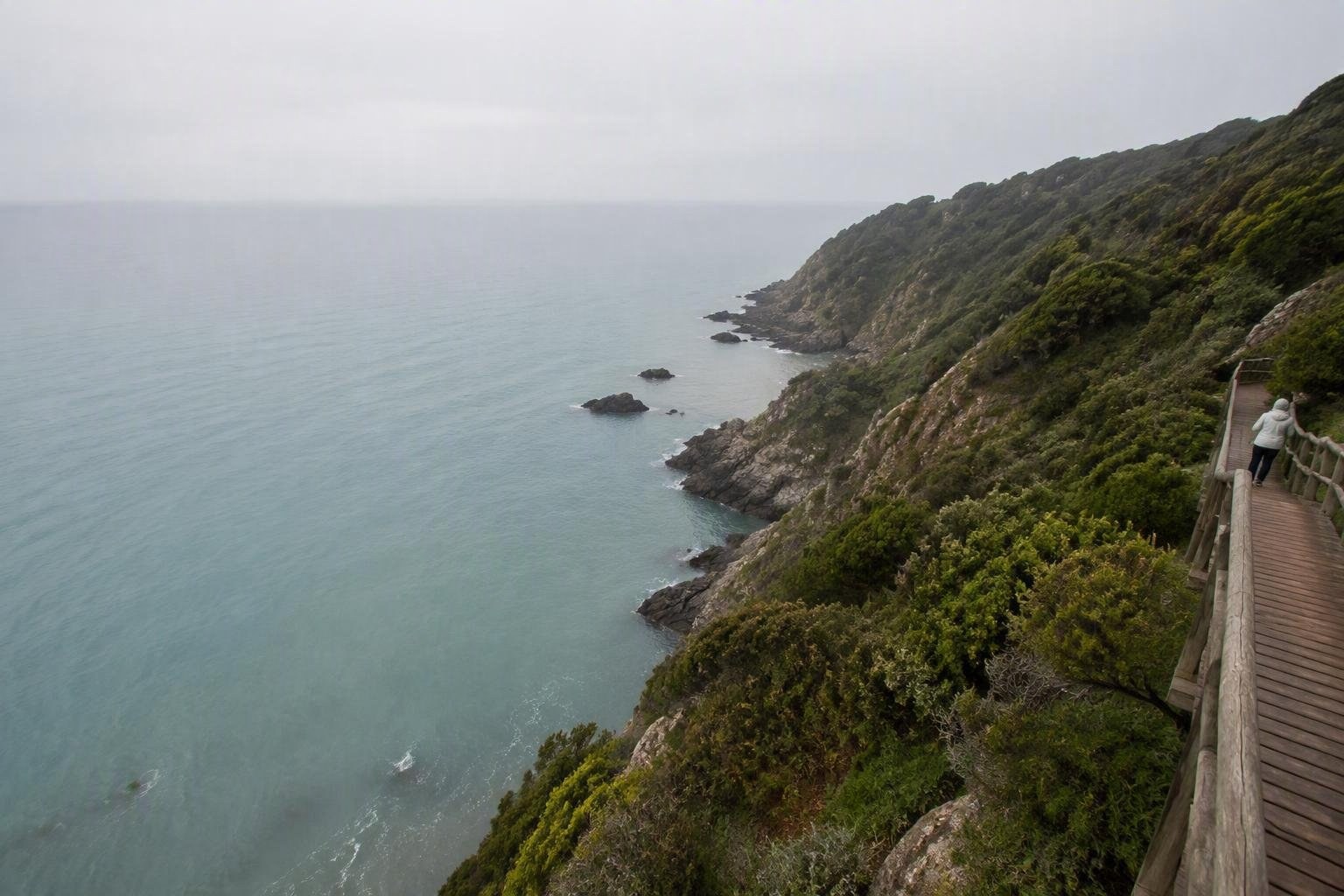 Scopri le spiagge incontaminate delle Bandite di Scarlino in Toscana