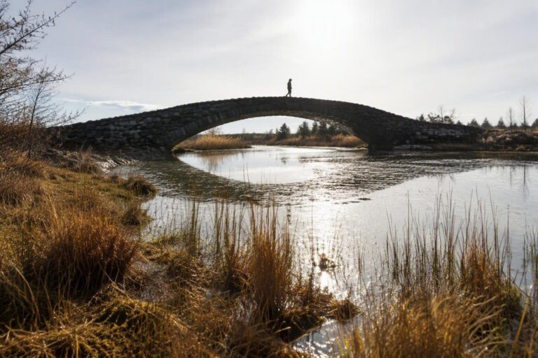 Scopri l'Estonia in autunno: natura, cultura e relax nordico