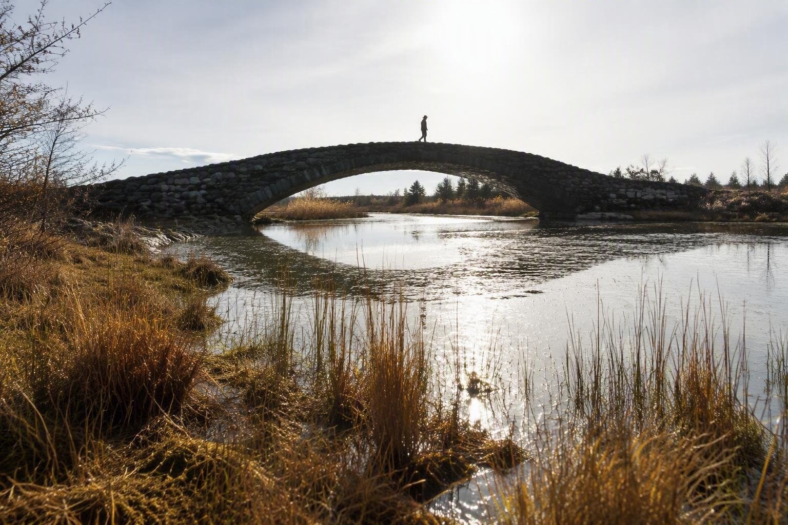 Scopri l'Estonia in autunno: natura, cultura e relax nordico