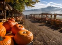 Calendario 2026 delle feste della zucca in Italia