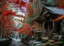 Guida al foliage: dove ammirare gli autunni giapponesi, italiani e cinesi