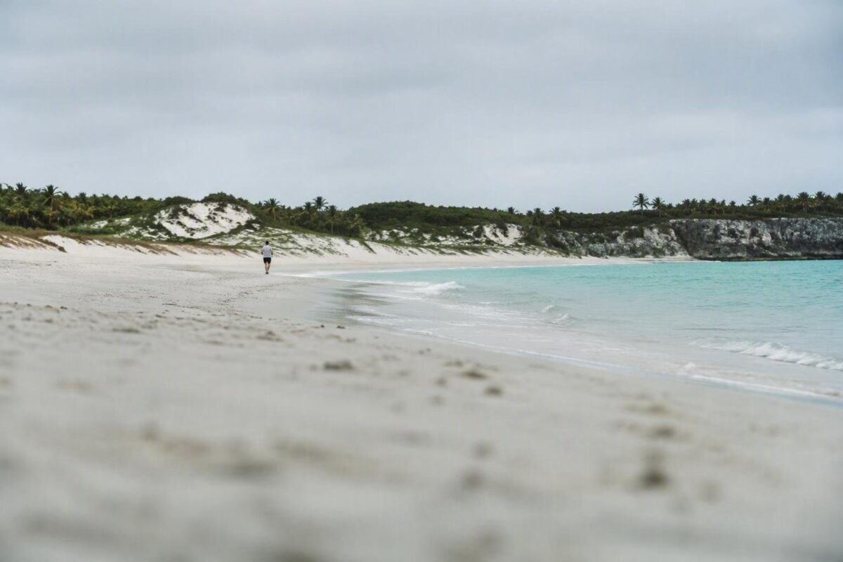 Le maratone più incredibili del mondo: dove sport e natura si incontrano