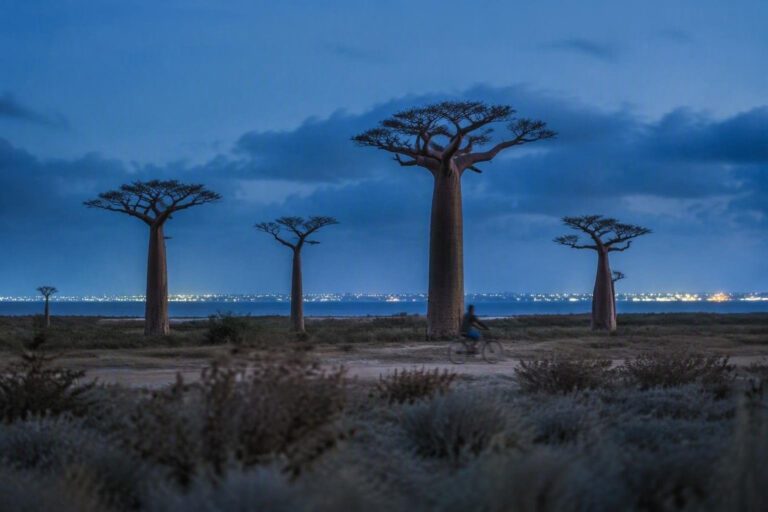Scopri il Madagascar tra settembre e ottobre: clima, natura e avventure