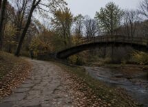 Segreti dell’autunno: botanica, leggende e frasi d’autore