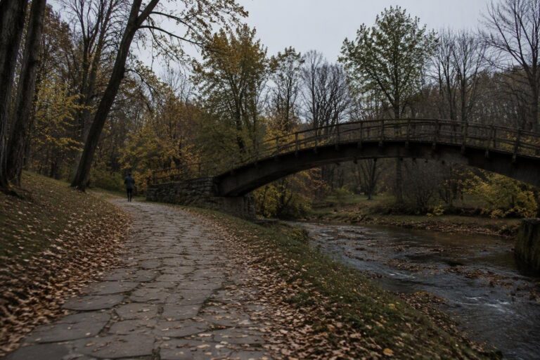 Segreti dell’autunno: botanica, leggende e frasi d’autore
