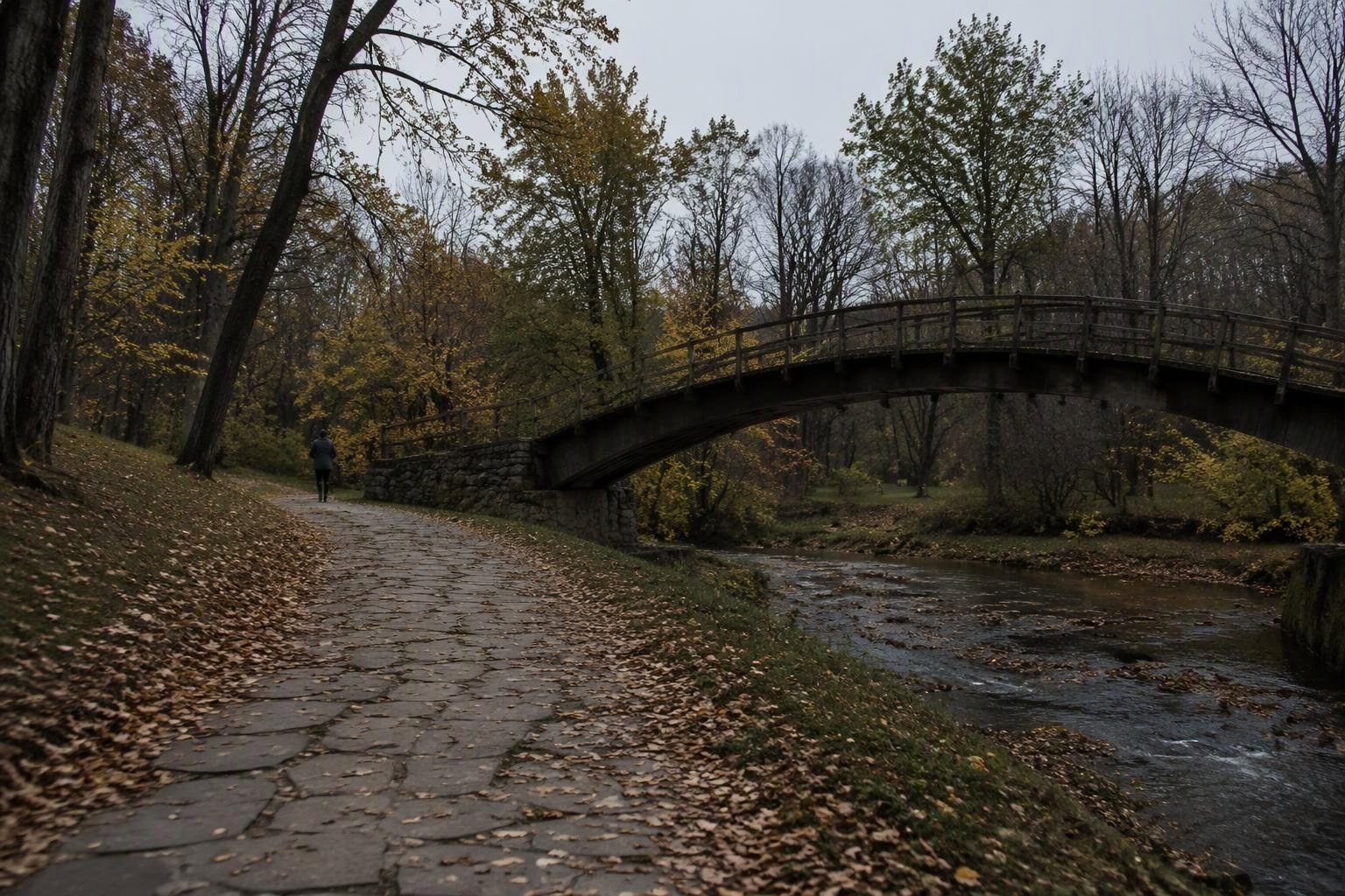 Segreti dell’autunno: botanica, leggende e frasi d’autore