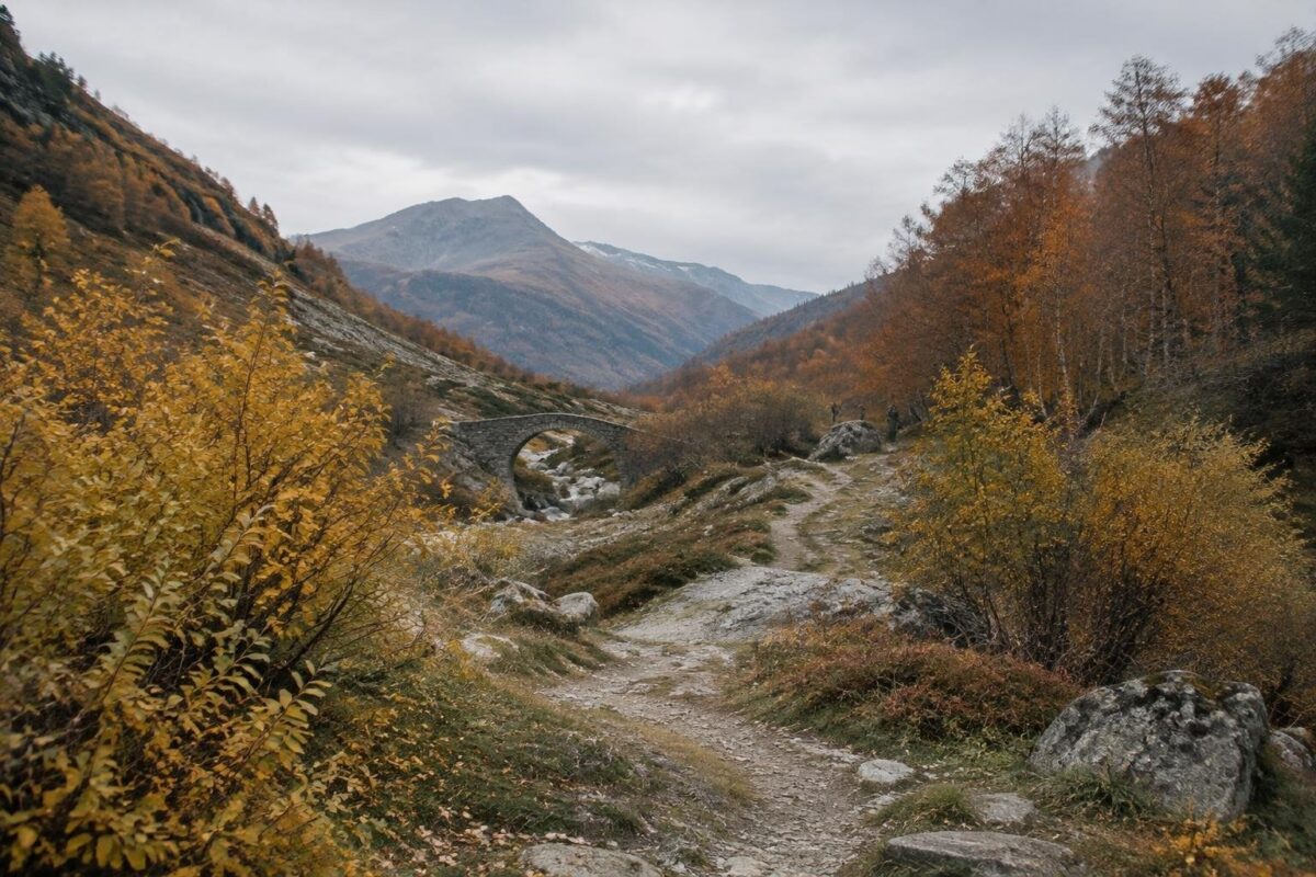 Escursioni autunnali: percorsi tra larici e faggi in Italia