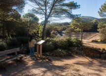 Genera Festival 2026: programmazione completa di eventi in Sardegna