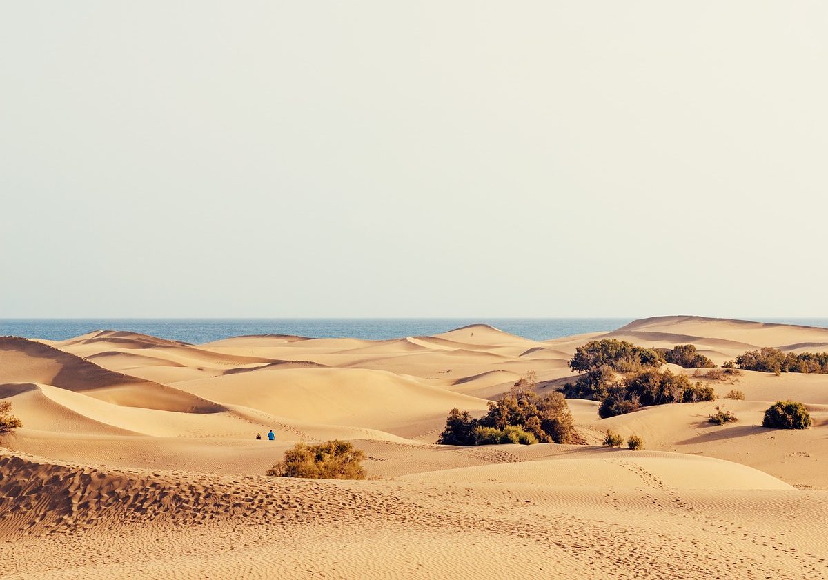 Maspalomas: playas y dunas del complejo español