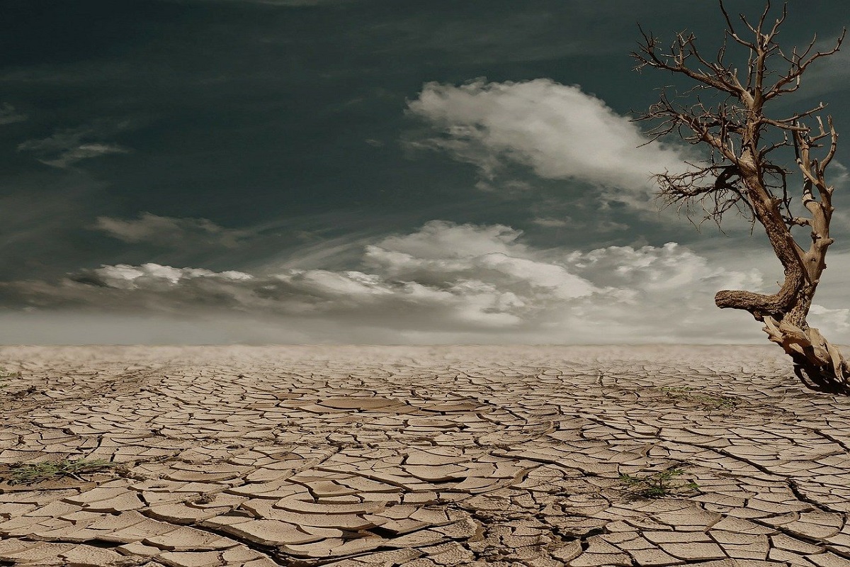 Los lugares áridos de la Tierra: lo que son y por qué