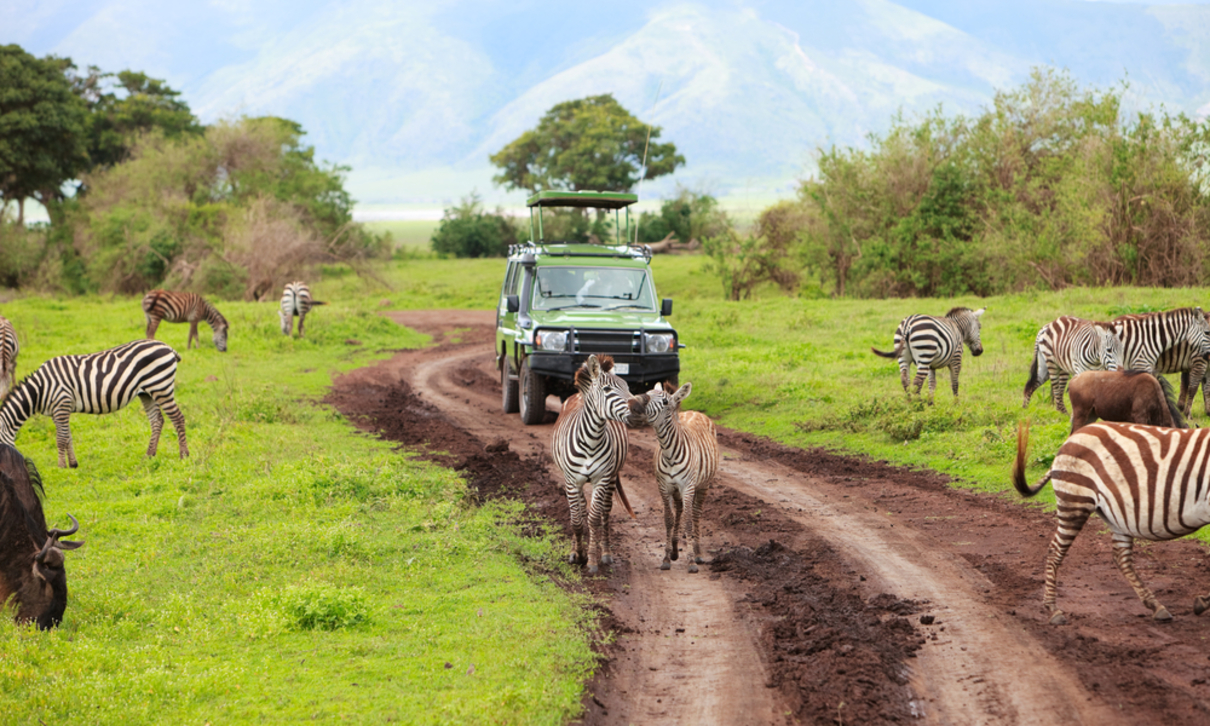 Todos los consejos para planificar un safari en Tanzania