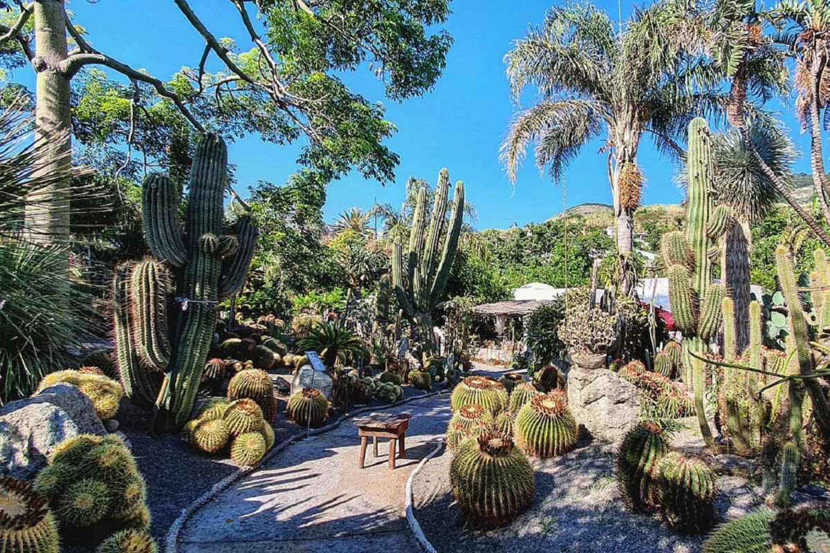 Jardines Ravino: los cactus más bellos del mundo en Ischia
