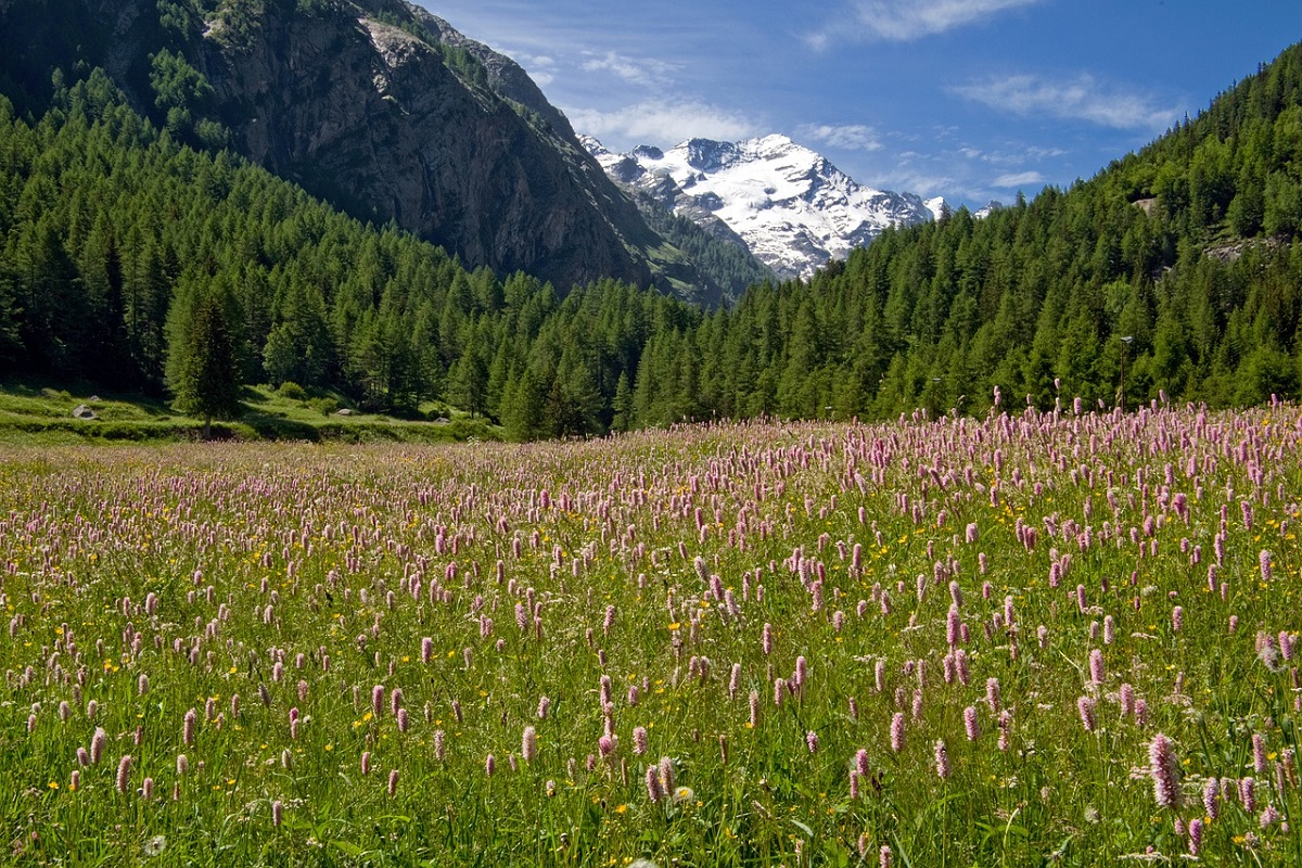 Camino de los parques de Italia: el recorrido a lo largo de la bota