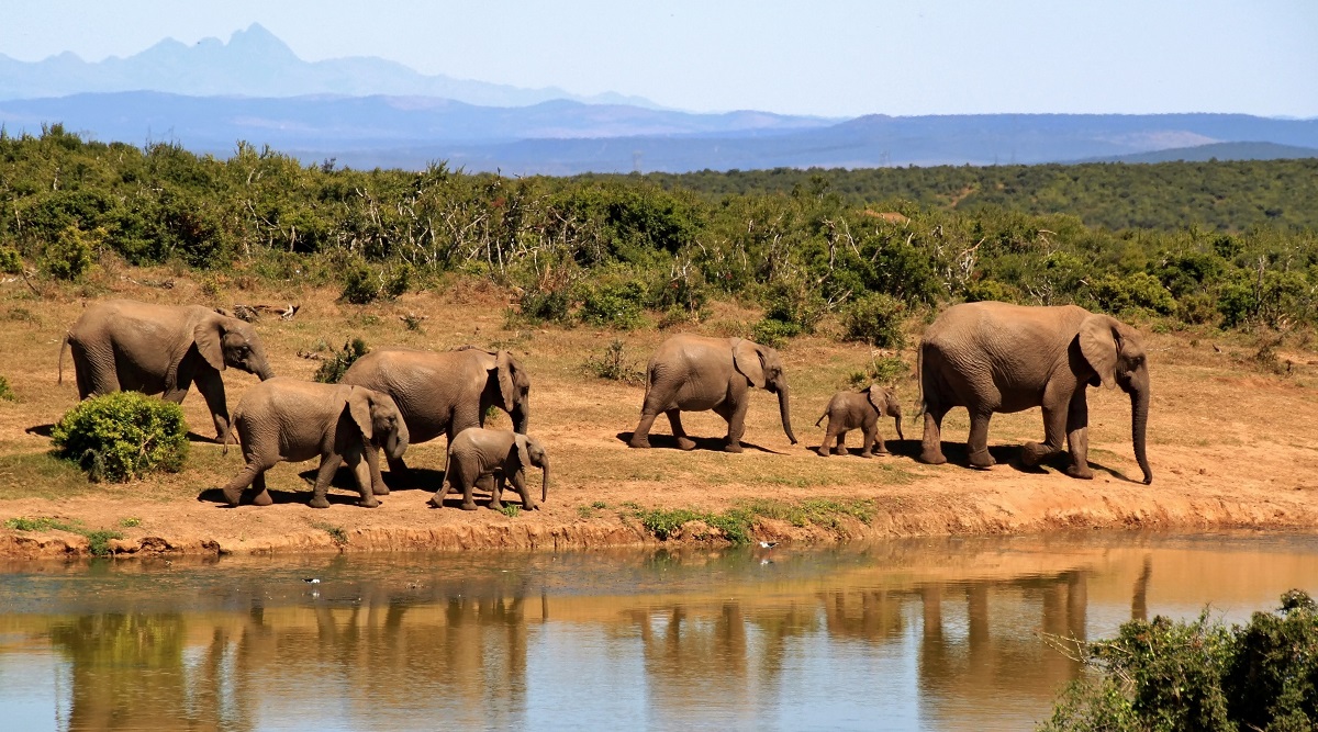 Los 11 países que debes visitar en África