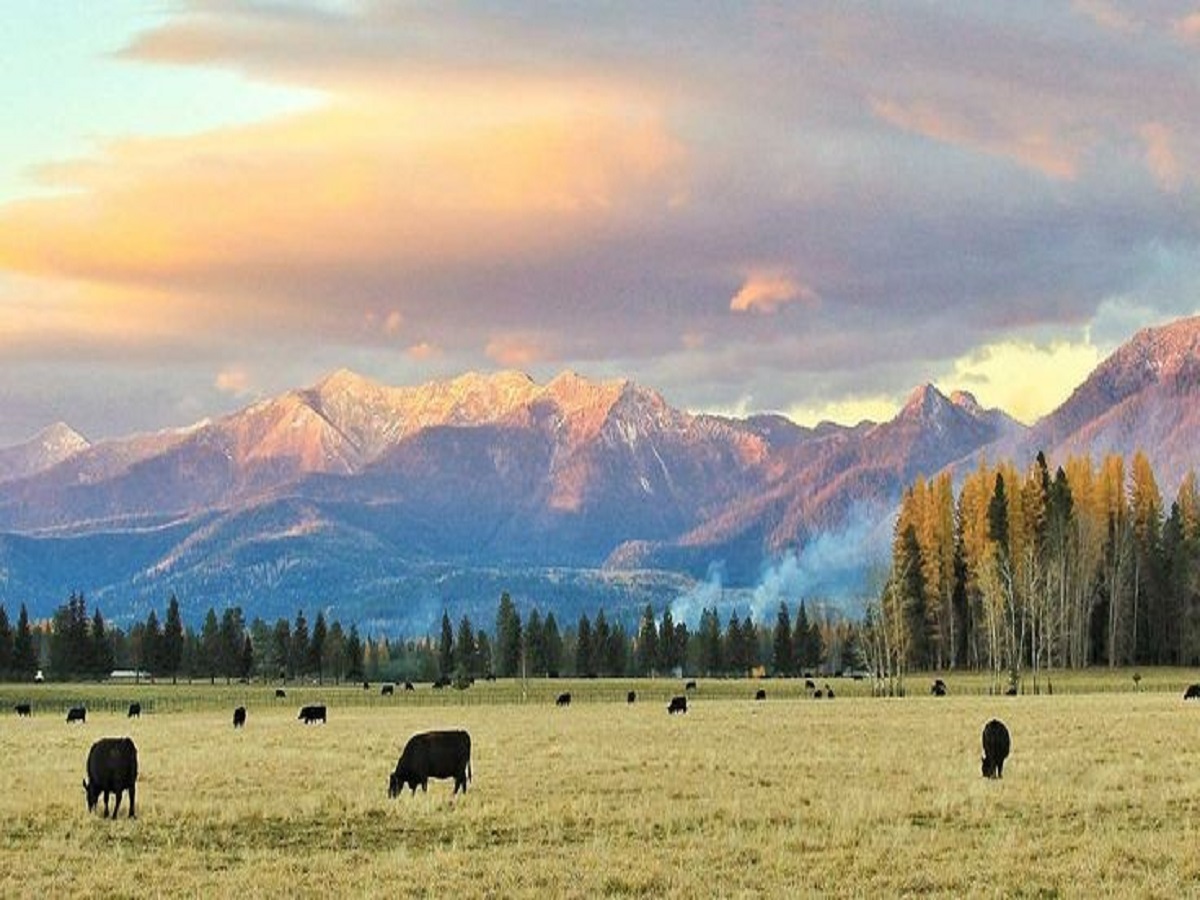 Montana: actividades divertidas e increíbles para hacer en vacaciones