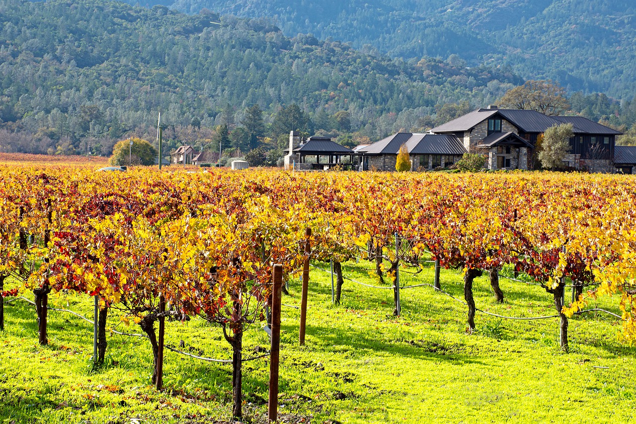 Cómo tener un fin de semana increíble en Napa