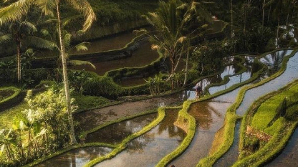 15 cosas que debes saber antes de visitar Bali