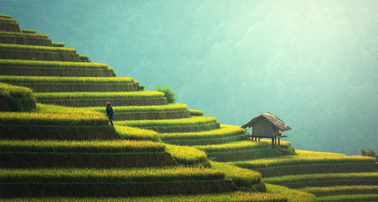 Las 9 mejores caminatas en Bali para experimentar